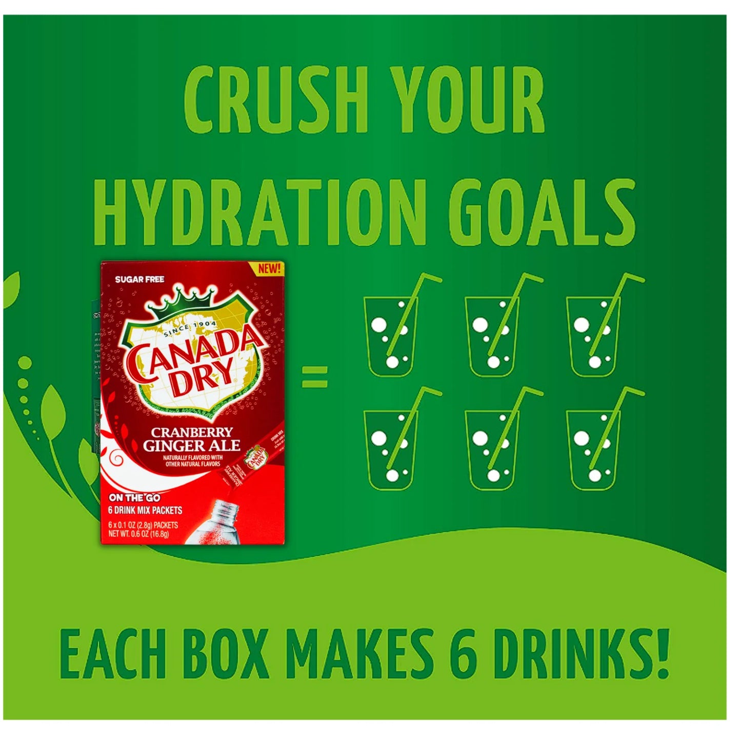 Canada Dry Cranberry Ginger Ale Drink Mix