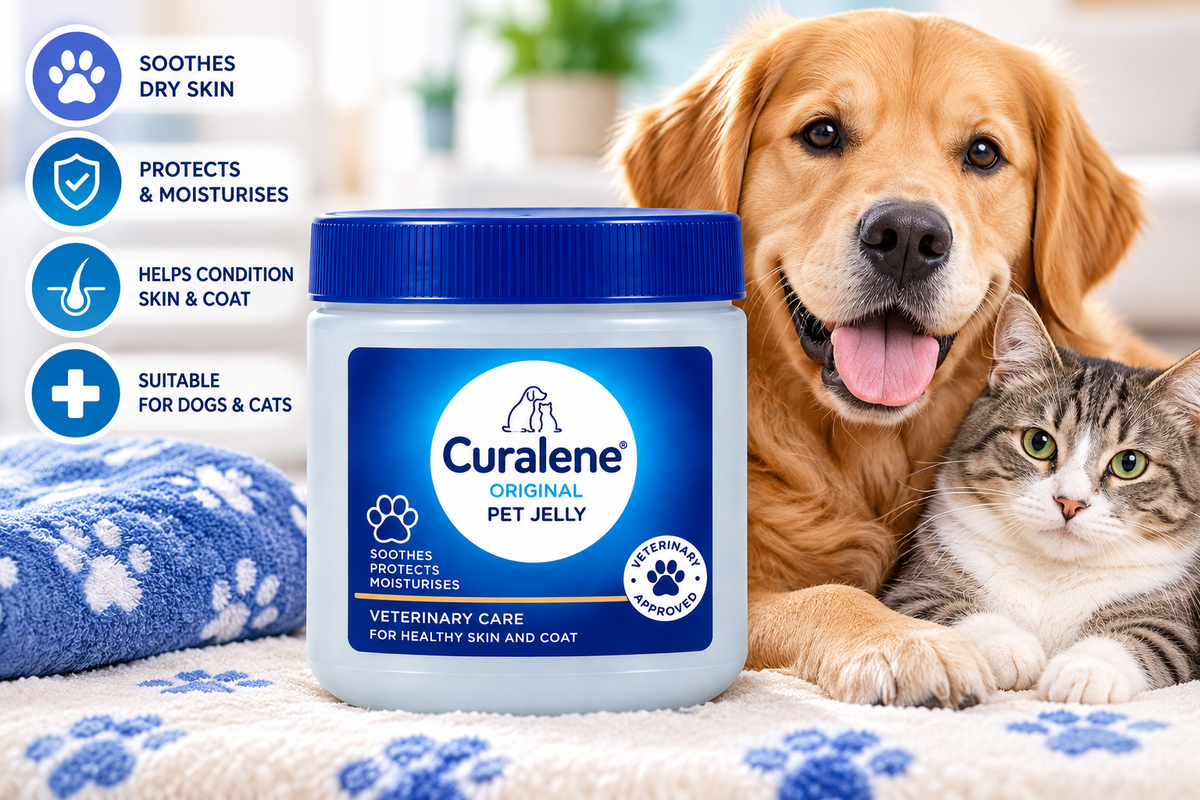 Curalene Original Pet Jelly 225ml jar displayed beside a golden retriever and tabby cat on a soft blanket, showcasing pet moisturising jelly for dogs and cats with a blue veterinary care label.