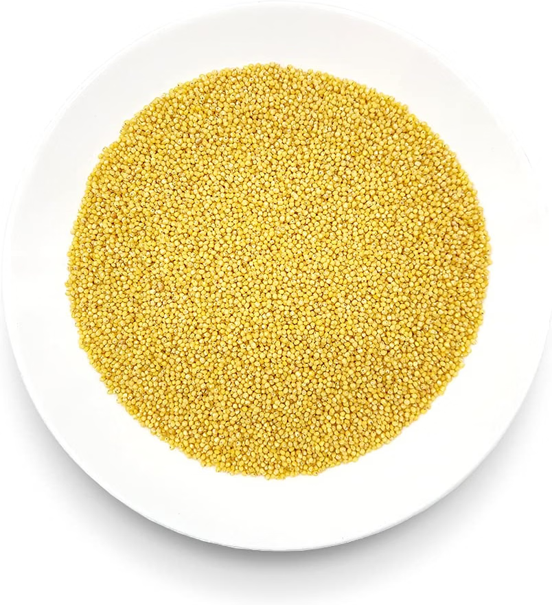 Oltresole Organic Millet Bio 1kg – close-up view of Italian organic decorticated yellow millet grains, showing the natural texture and quality of the millet cereal ready for cooking.