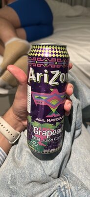 AriZona Grapeade 22fl oz (650ml) bottle with bold grape flavour, non-carbonated and ready-to-drink