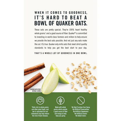 Quaker Instant Oatmeal Apple & Cinnamon 340g