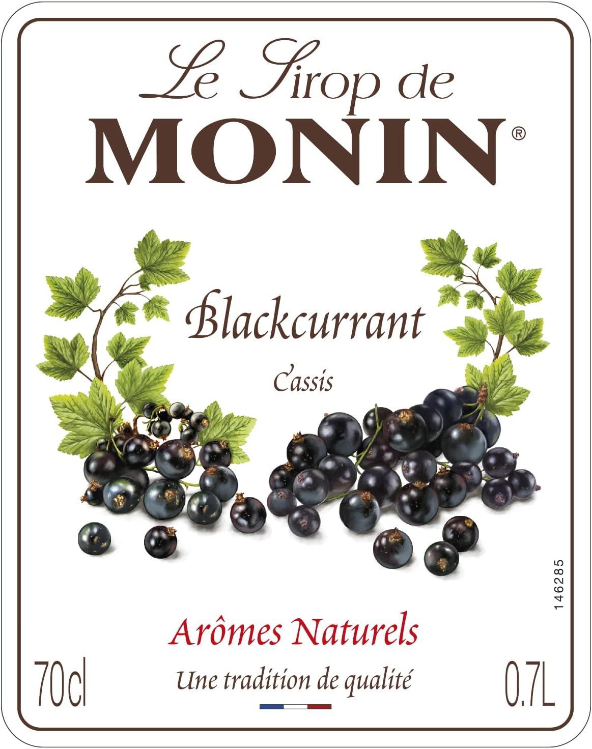 MONIN Blackcurrant drink syrup – 700ml vegan and allergen-free sugar syrup for beverages