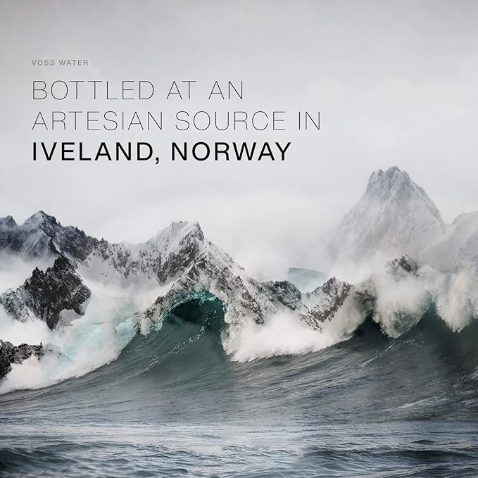 Voss Plus Still Water bottle showing electrolyte-enhanced label, 500 ml plastic packaging