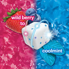 Six-pack of Icebreakers Flavor Shifters Gum with Wild Berry to Coolmint flavor in 92g cube bottles