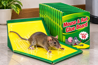 Mouse and Rat Glue Board Pack of 10 shown on a household floor with green and yellow packaging