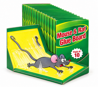 Mouse and Rat Glue Board Pack of 10 with green and yellow packaging for household pest control