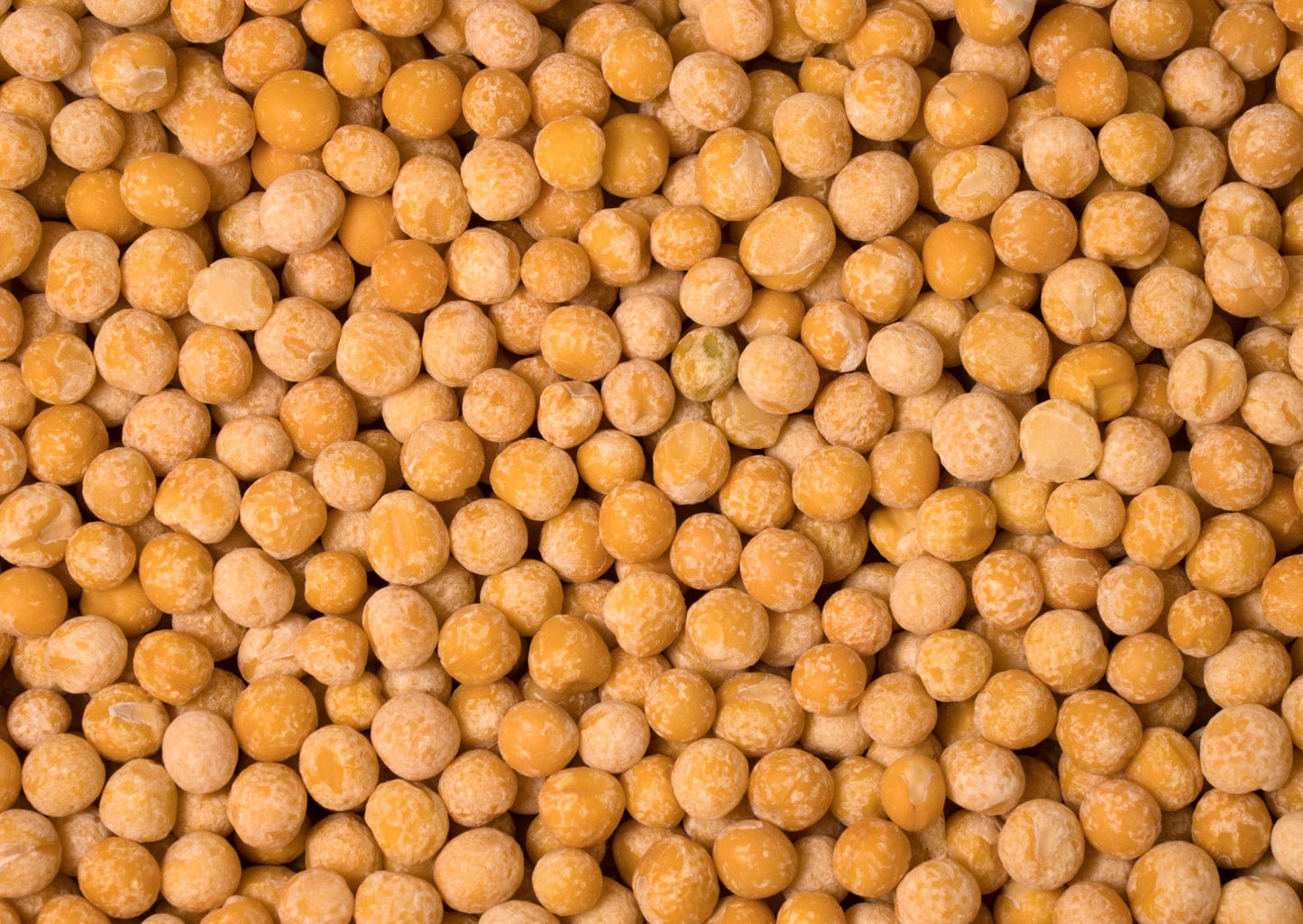 Pile of whole dried yellow peas in various shades of golden yellow